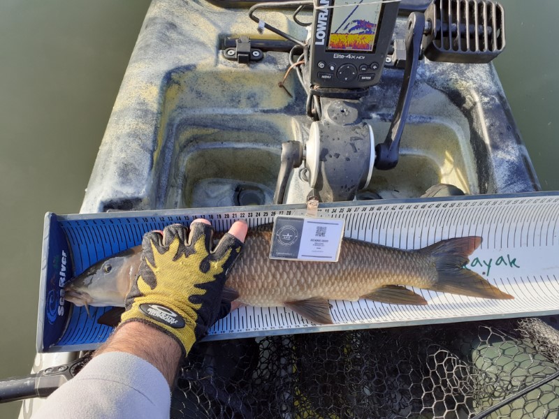 Fish Measure Picture