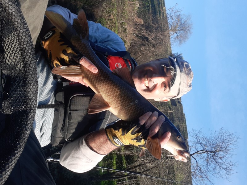Fish Profile Picture