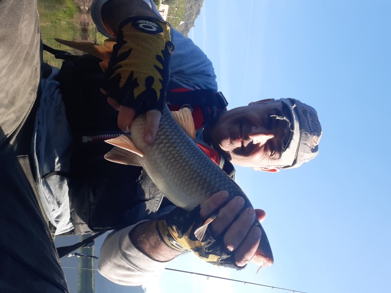 Fish Profile Picture