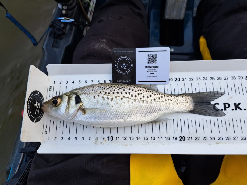 Fish Measure Picture