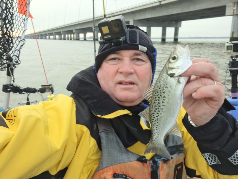 Fish Profile Picture