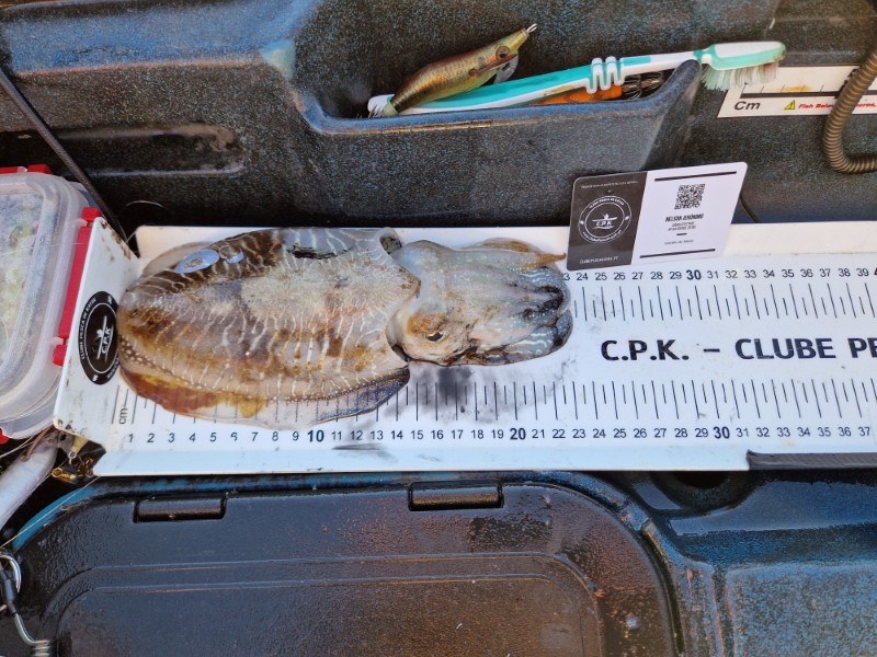 Fish Measure Picture