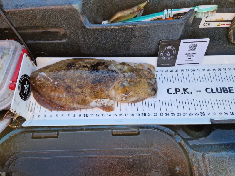 Fish Measure Picture