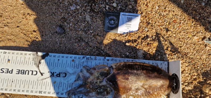 Fish Measure Picture
