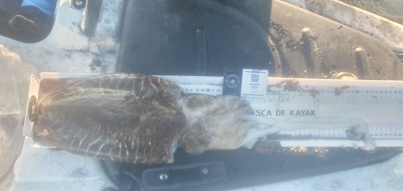 Fish Measure Picture