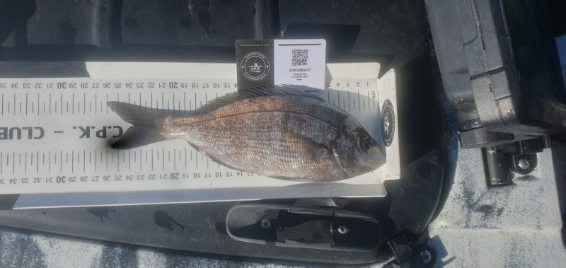Fish Measure Picture
