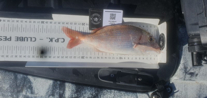 Fish Measure Picture