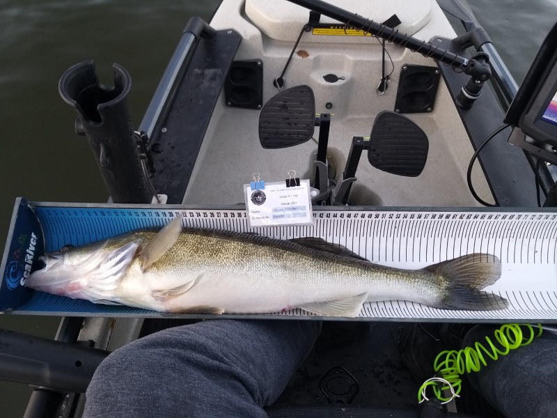 Fish Measure Picture