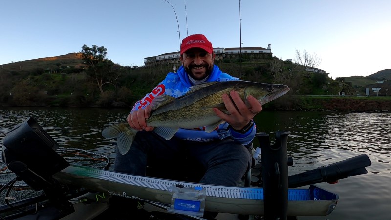 Fish Profile Picture
