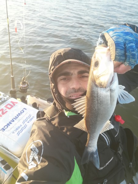 Fish Profile Picture