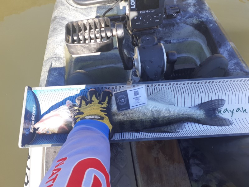 Fish Measure Picture