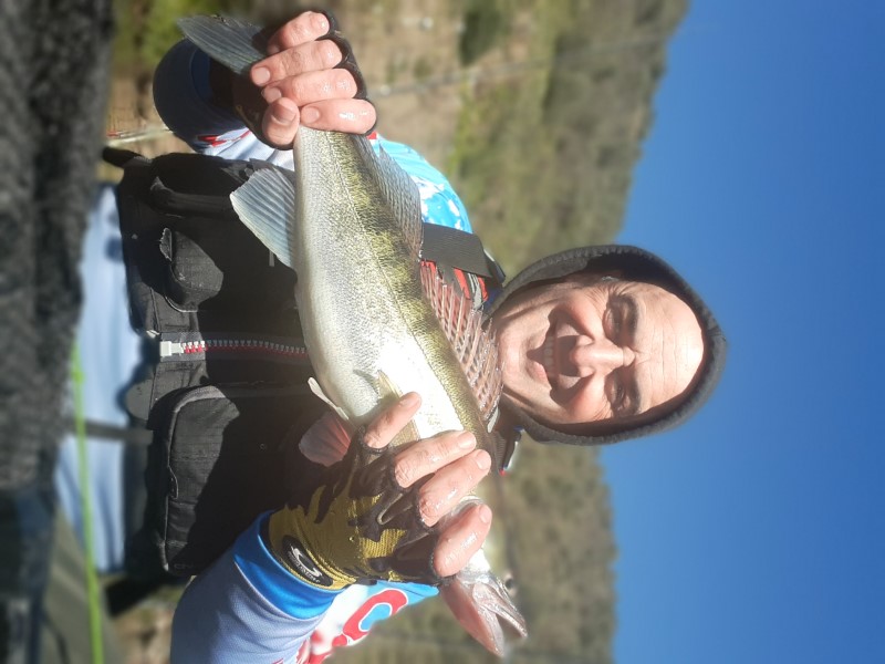 Fish Profile Picture