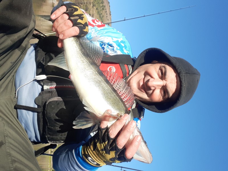 Fish Profile Picture