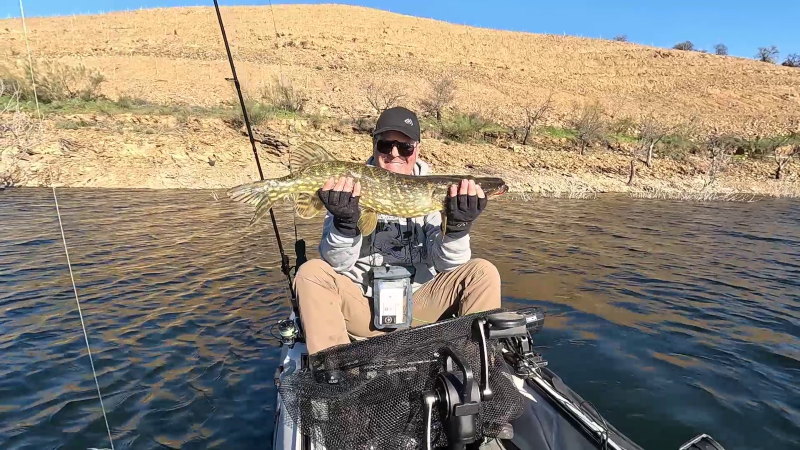 Fish Profile Picture