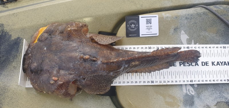 Fish Measure Picture