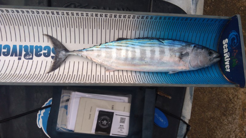 Fish Measure Picture