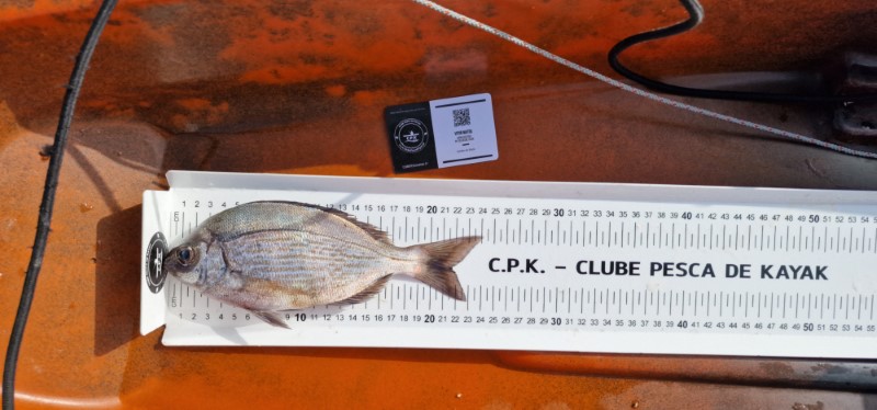 Fish Measure Picture