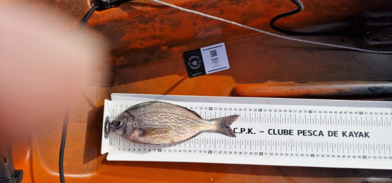 Fish Measure Picture