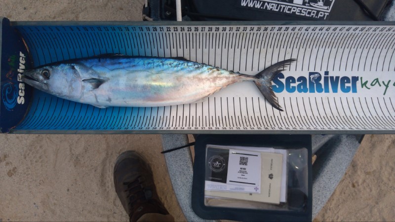 Fish Measure Picture