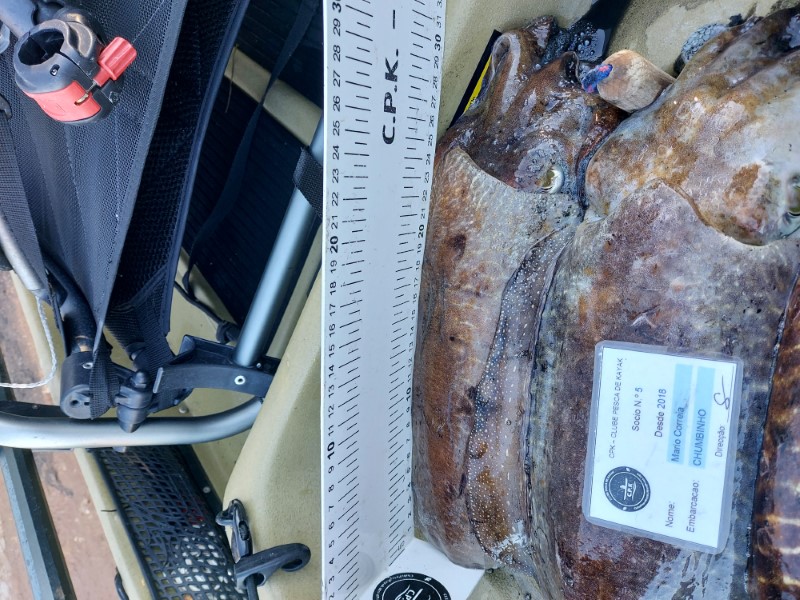 Fish Measure Picture