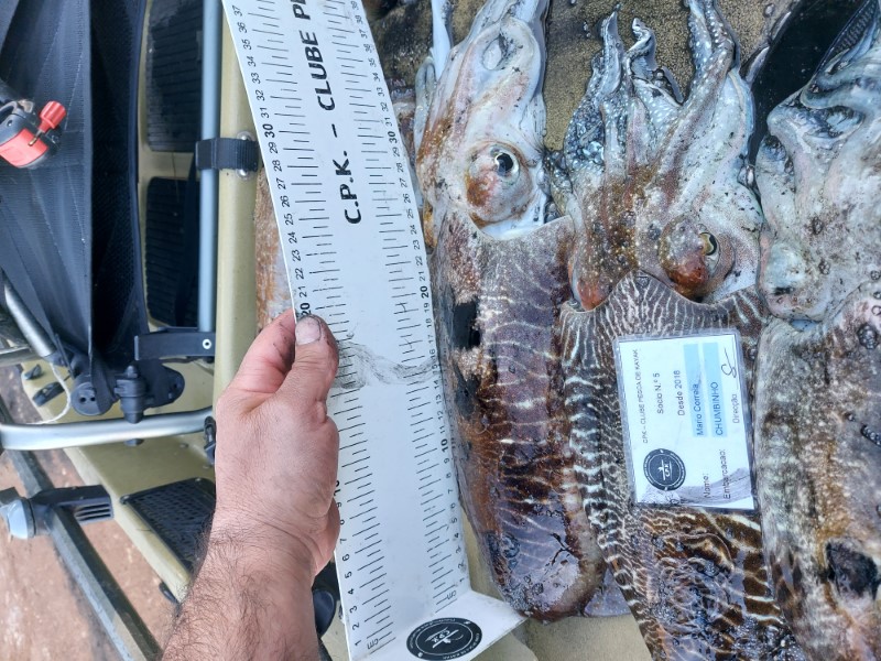 Fish Measure Picture