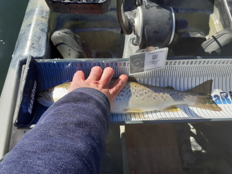 Fish Measure Picture