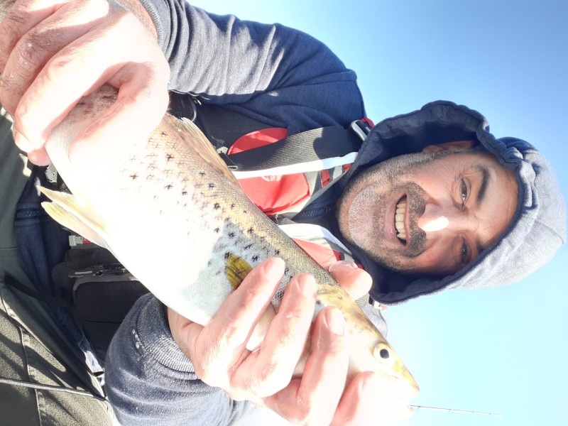 Fish Profile Picture