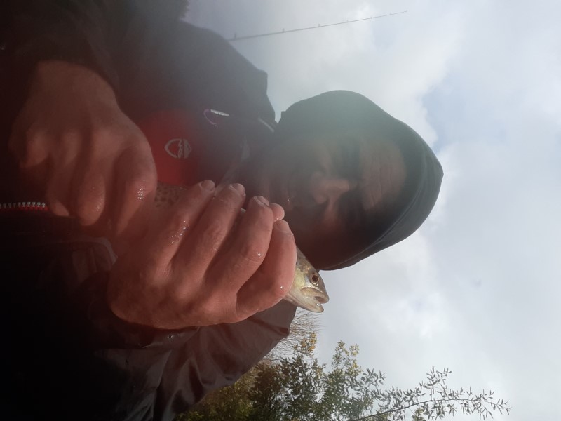 Fish Profile Picture