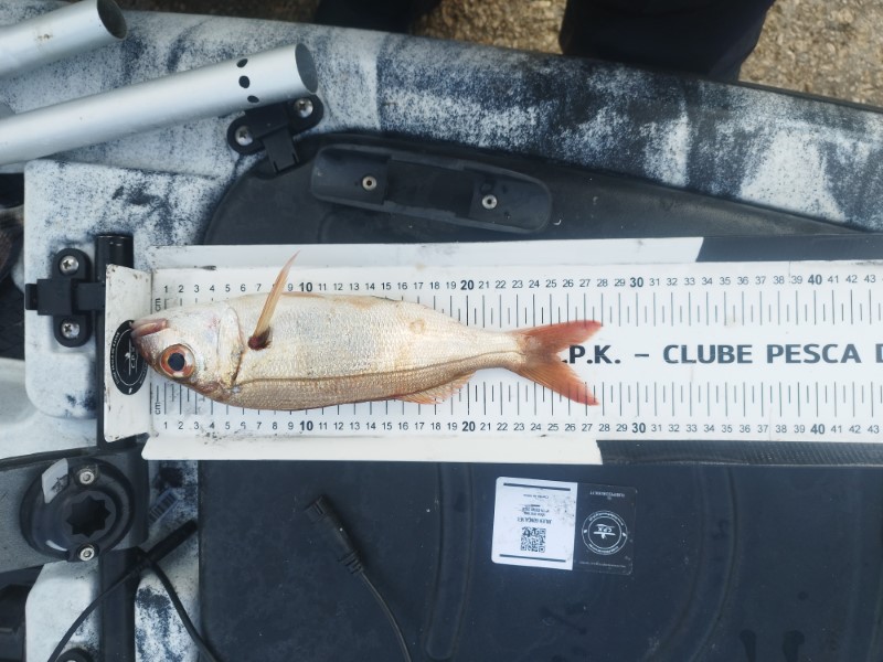 Fish Measure Picture