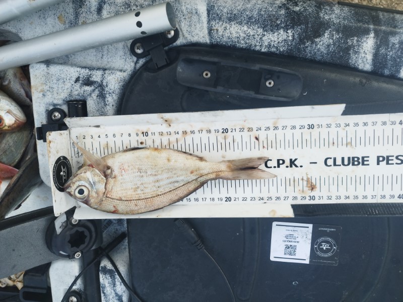 Fish Measure Picture