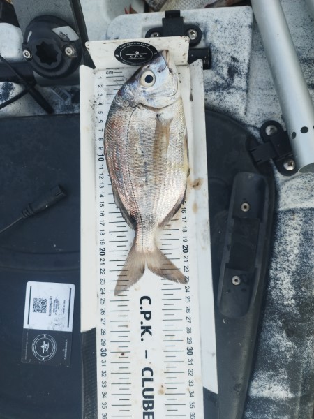 Fish Measure Picture