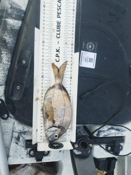 Fish Measure Picture