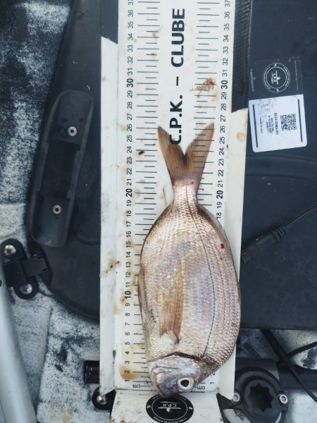 Fish Measure Picture
