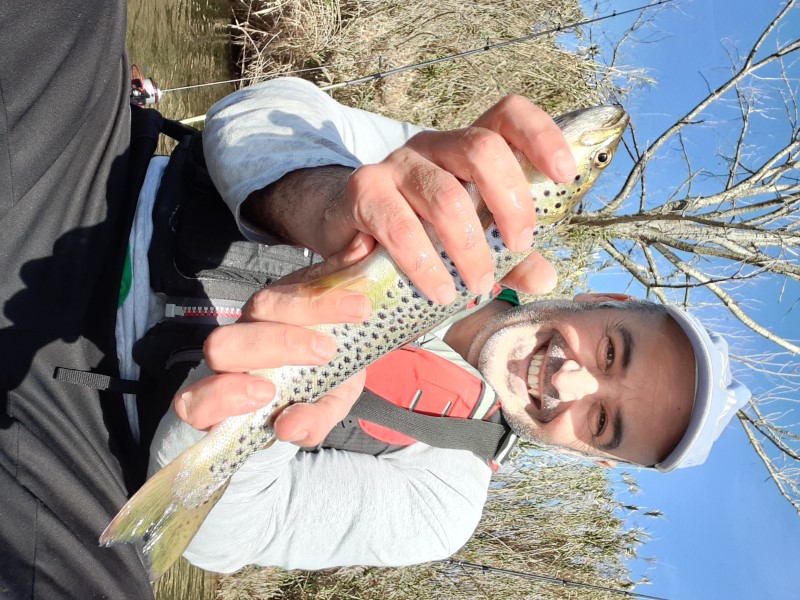Fish Profile Picture