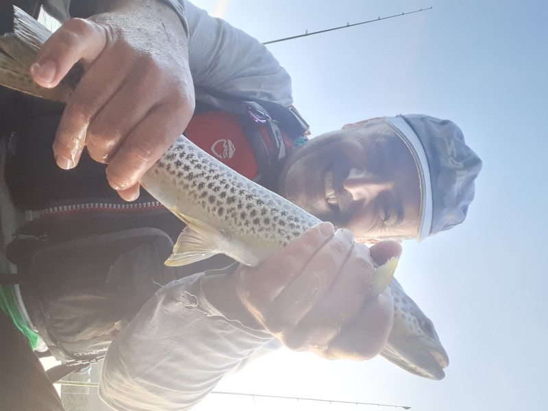 Fish Profile Picture