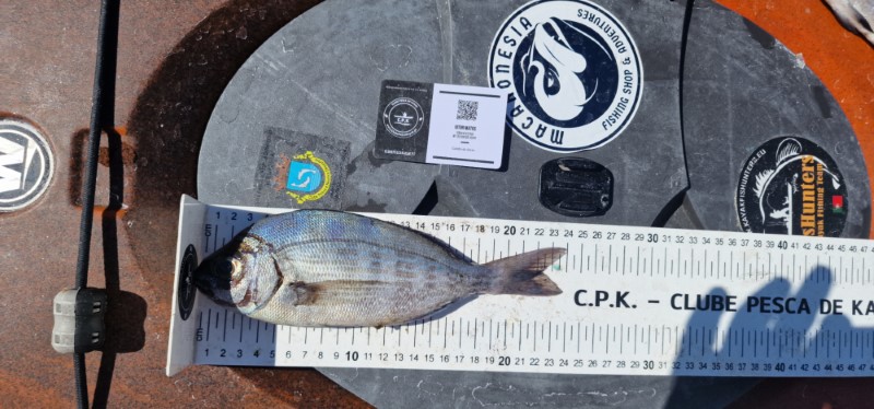 Fish Measure Picture