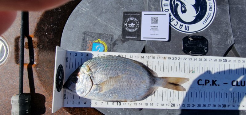 Fish Measure Picture