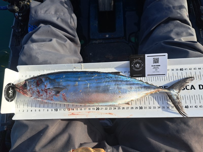 Fish Measure Picture
