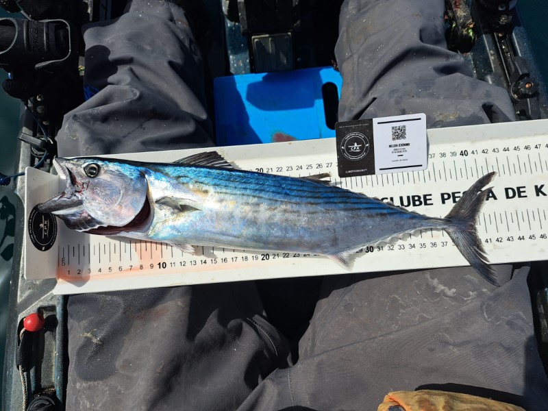 Fish Measure Picture