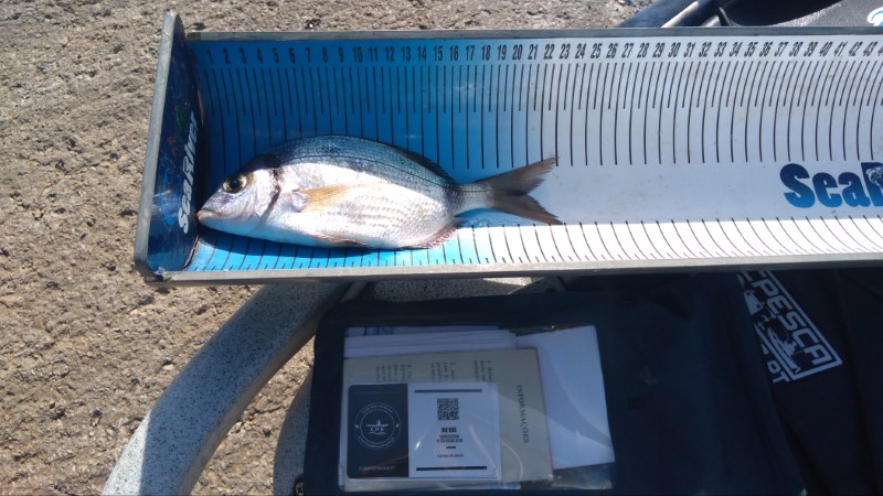 Fish Measure Picture