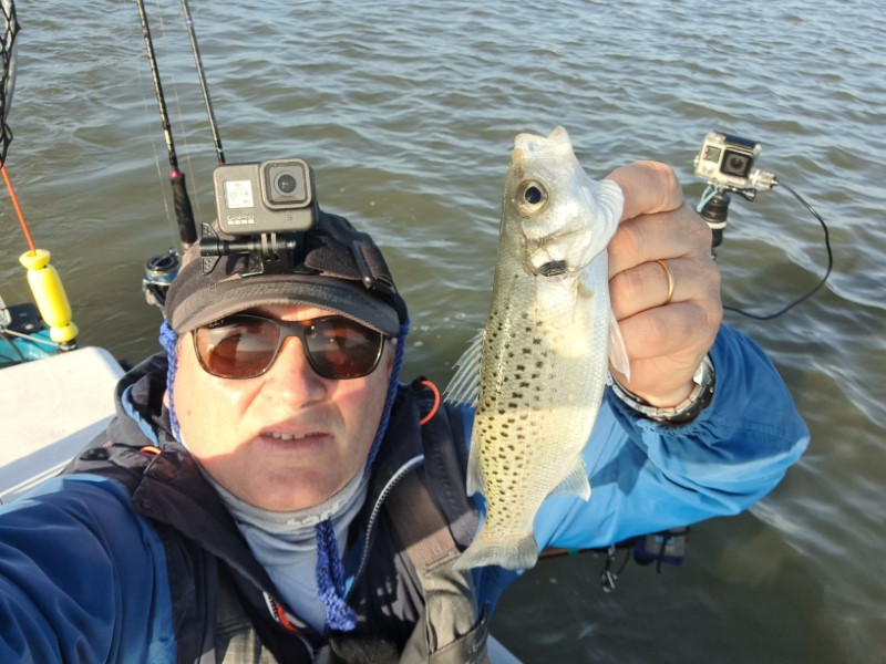 Fish Profile Picture