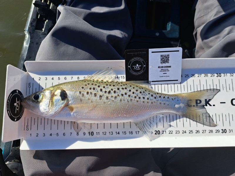 Fish Measure Picture