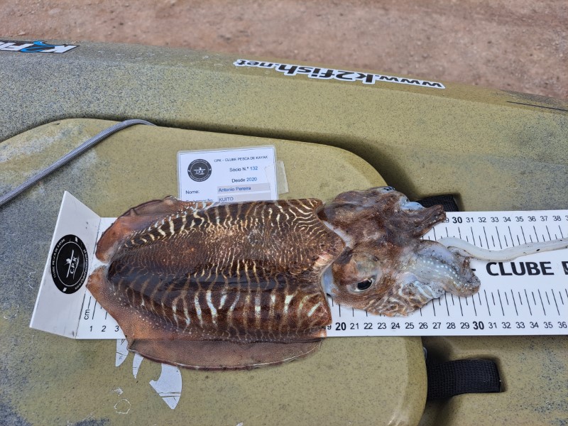 Fish Measure Picture