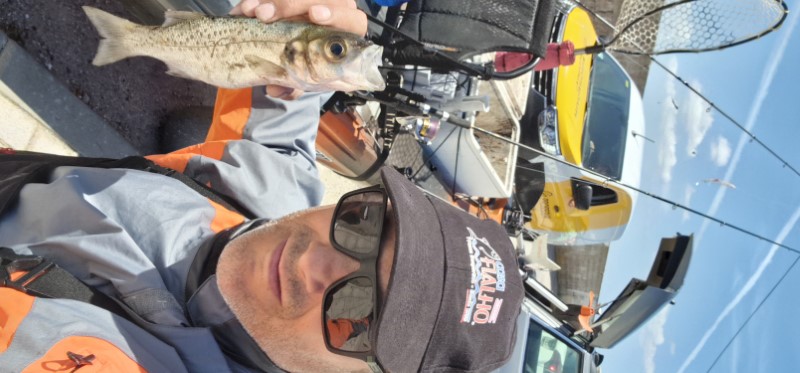 Fish Profile Picture