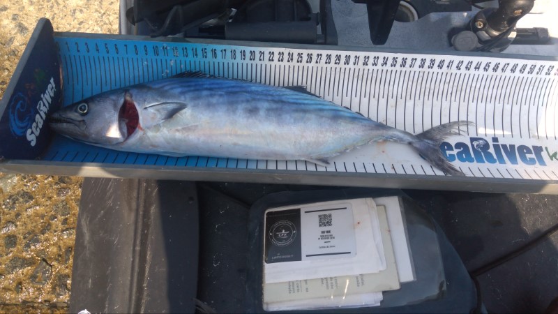Fish Measure Picture