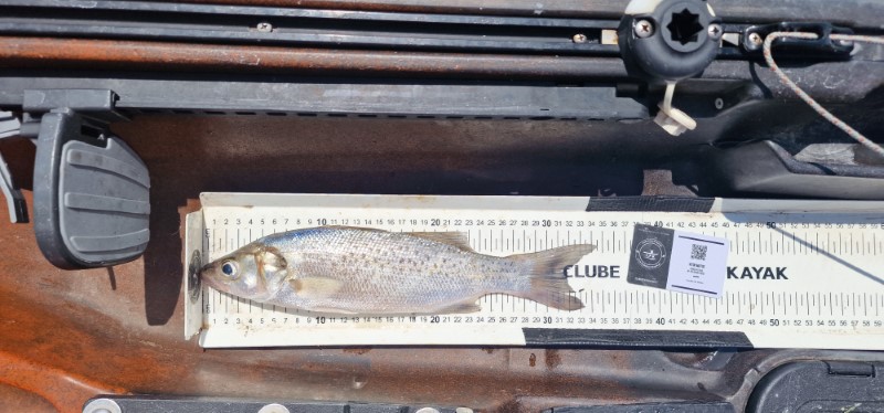 Fish Measure Picture