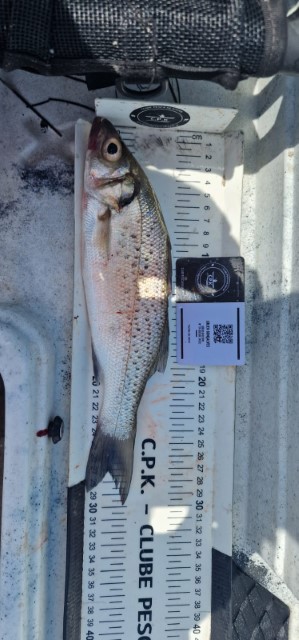 Fish Measure Picture