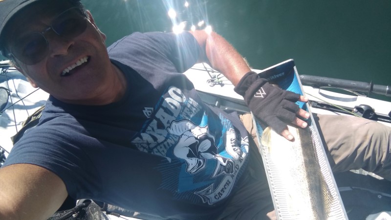 Fish Profile Picture