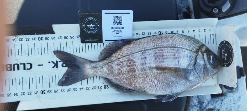 Fish Measure Picture
