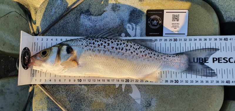 Fish Measure Picture